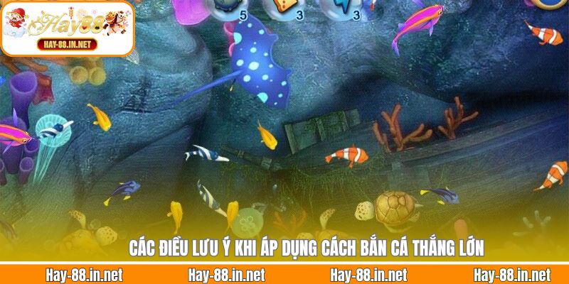 Các điều lưu ý khi áp dụng cách bắn cá thắng lớn