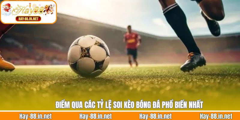 Điểm qua các tỷ lệ soi kèo bóng đá phổ biến nhất