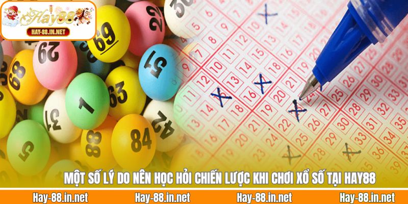 Một số lý do nên học hỏi chiến lược khi chơi xổ số tại Hay88