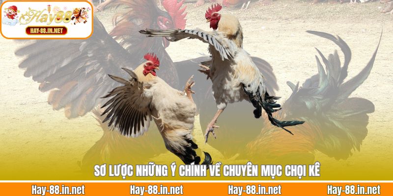 Sơ lược những ý chính về chuyên mục chọi kê