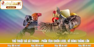 Thủ Thuật Đá Gà Thomo - Phân Tích Chiến Lược, Dễ Dàng Thắng Lớn