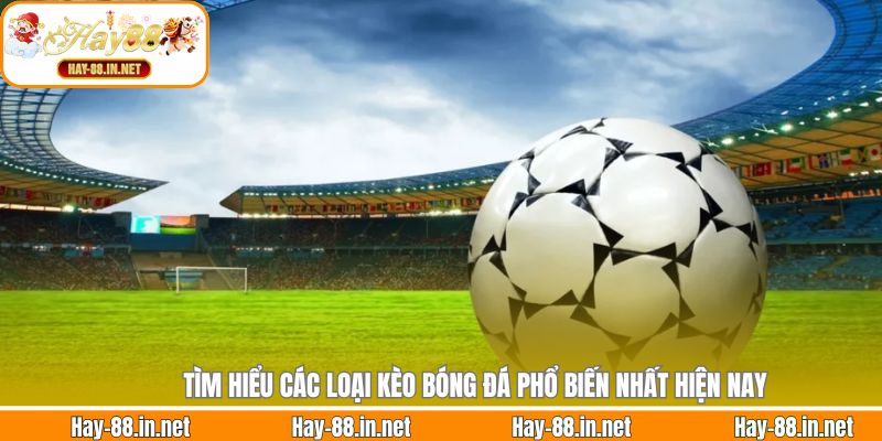 Tìm hiểu các loại kèo bóng đá phổ biến nhất hiện nay