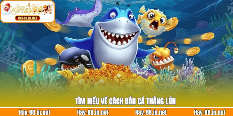 Tìm hiểu về cách bắn cá thắng lớn