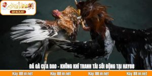 Đá Gà Cựa Dao - Không Khí Tranh Tài Sôi Động Tại Hay88