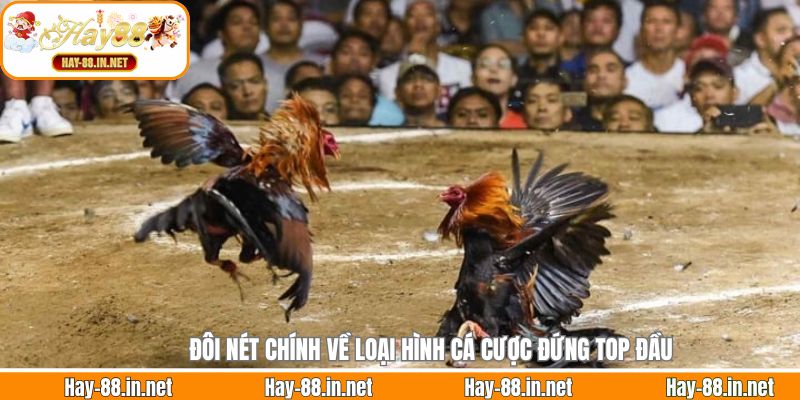 Đôi nét chính về loại hình cá cược đứng top đầu